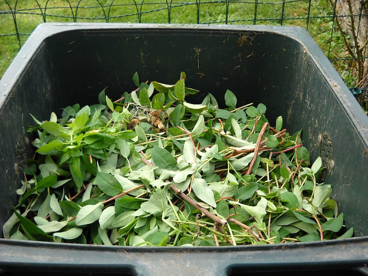 42+ Darf Der Grünschnitt Von Nachbars Garten, Viele nachbarn geraten